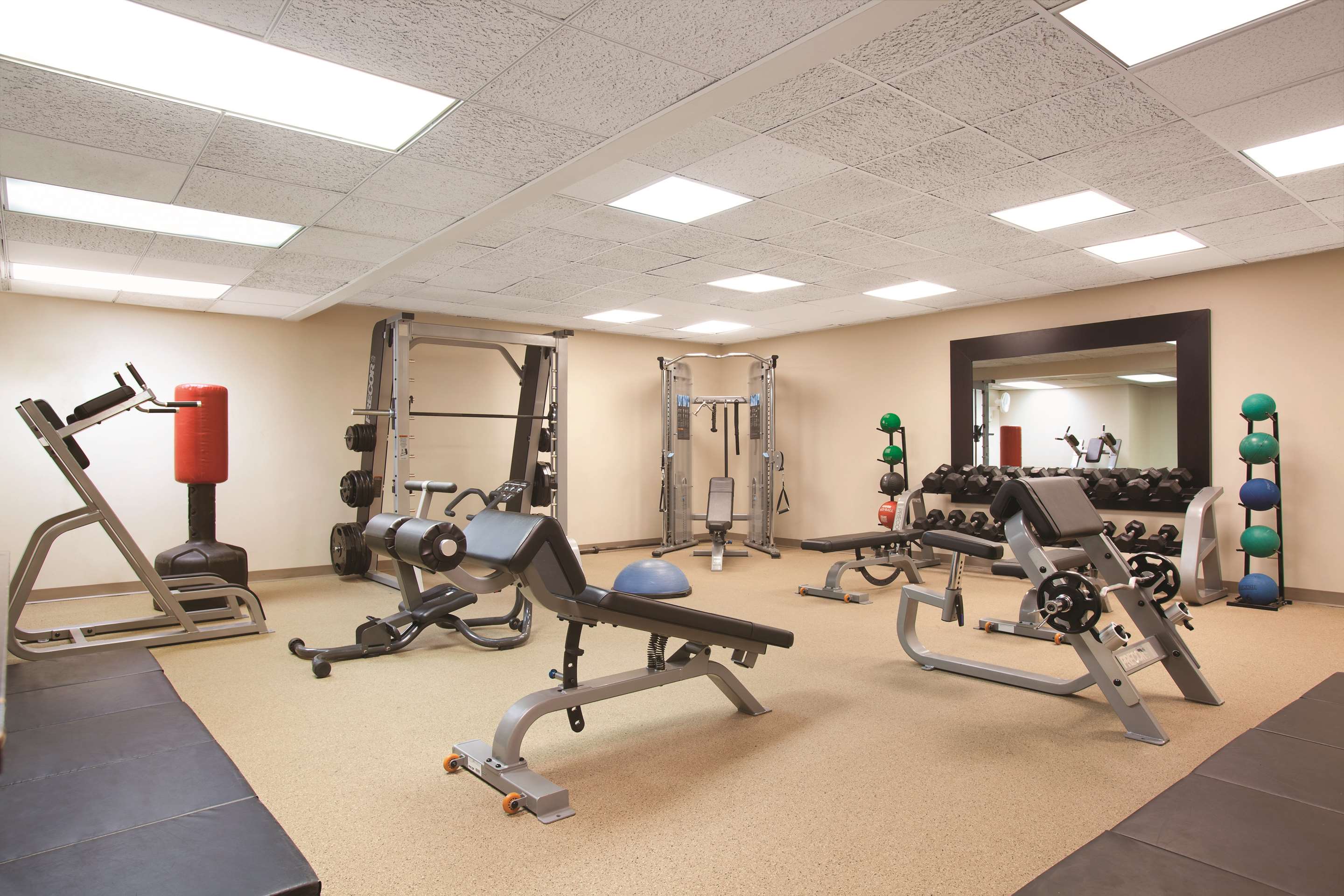 Health club fitness center gym