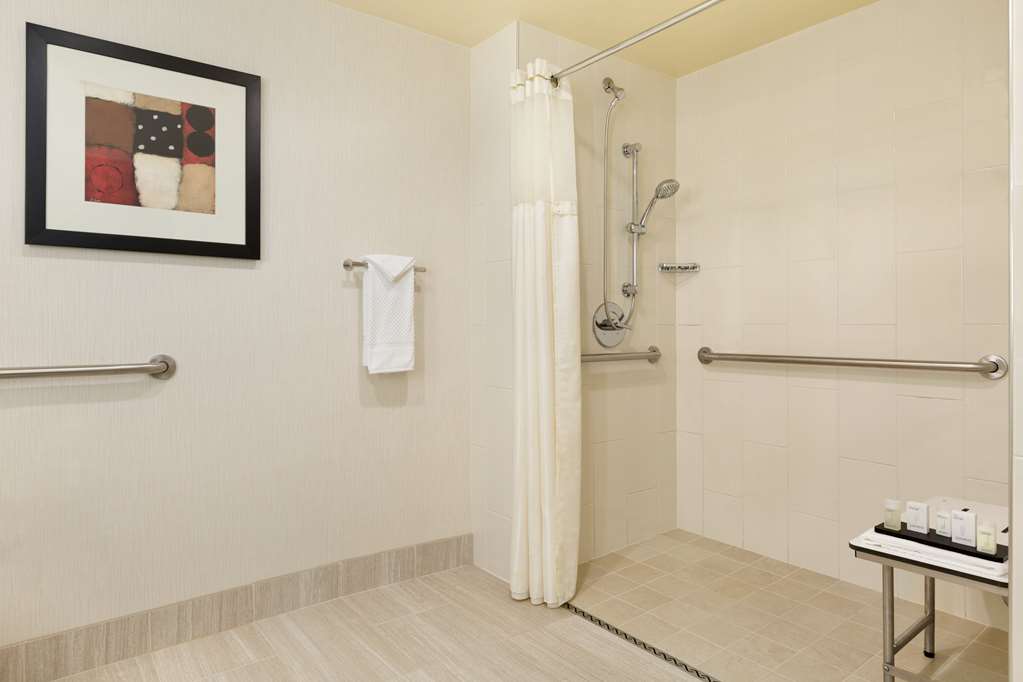 Embassy Suites Chicago - North Shore/Deerfield Room Type - 1KG STE MOB HR ACC RI-SHWR