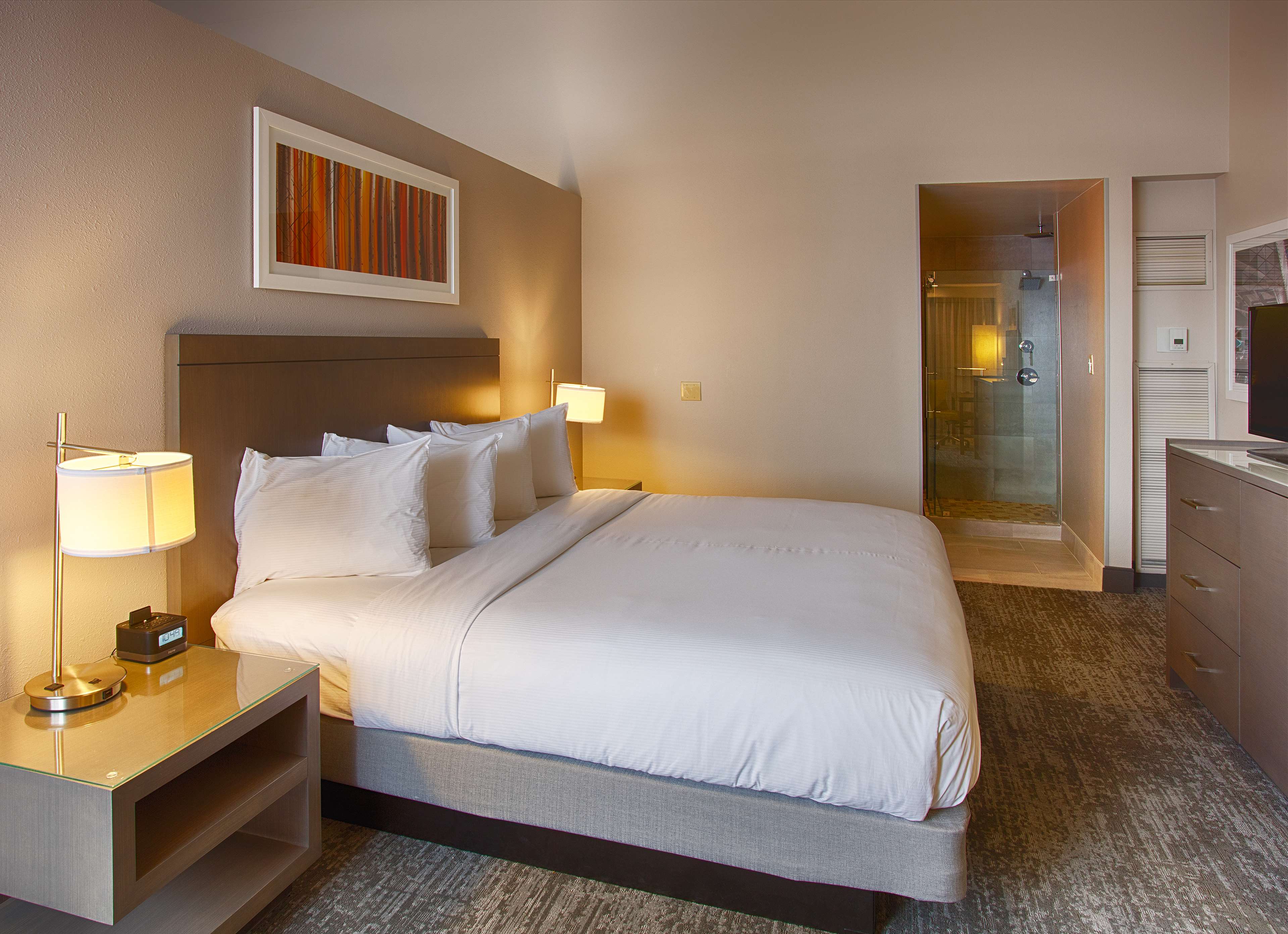 DoubleTree by Hilton Denver - Westminster Room Type - 1QN ACC RI SHWR