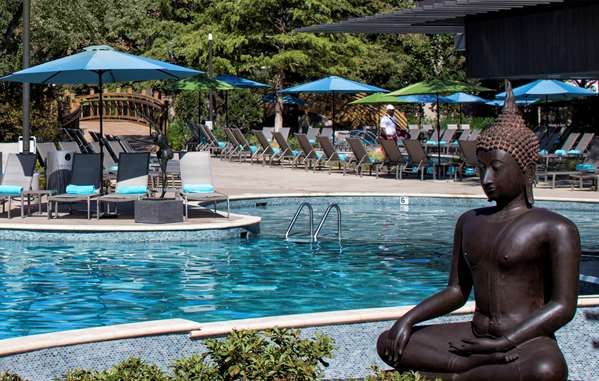 Pool - Hilton Anatole Hotel Dallas - I-35, Exit 430B