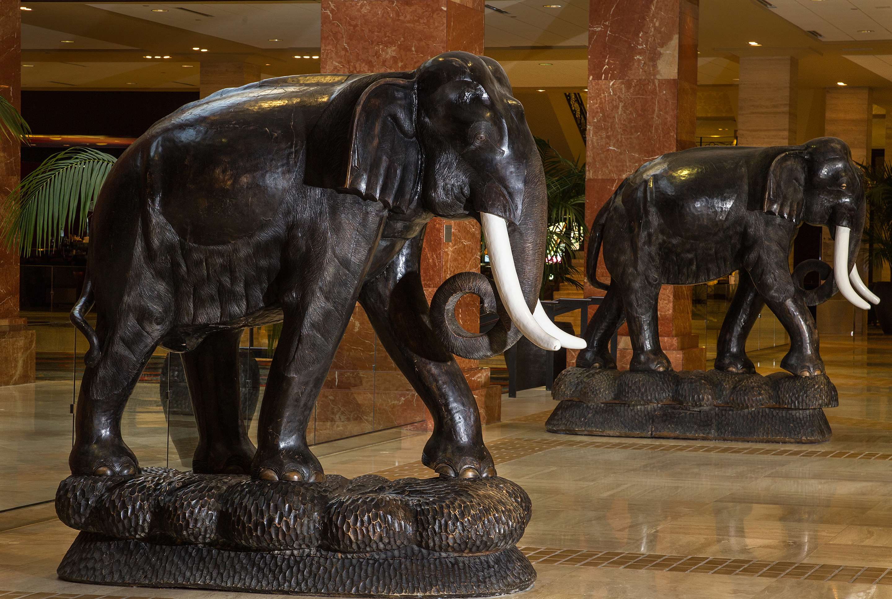 Miscellaneous | Hilton Anatole
