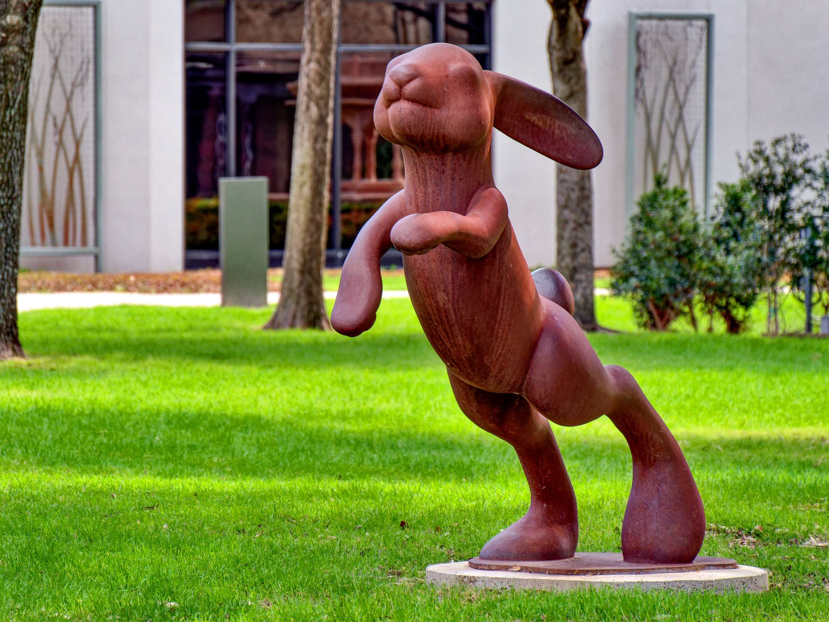 Recreational Facility | Hilton Anatole