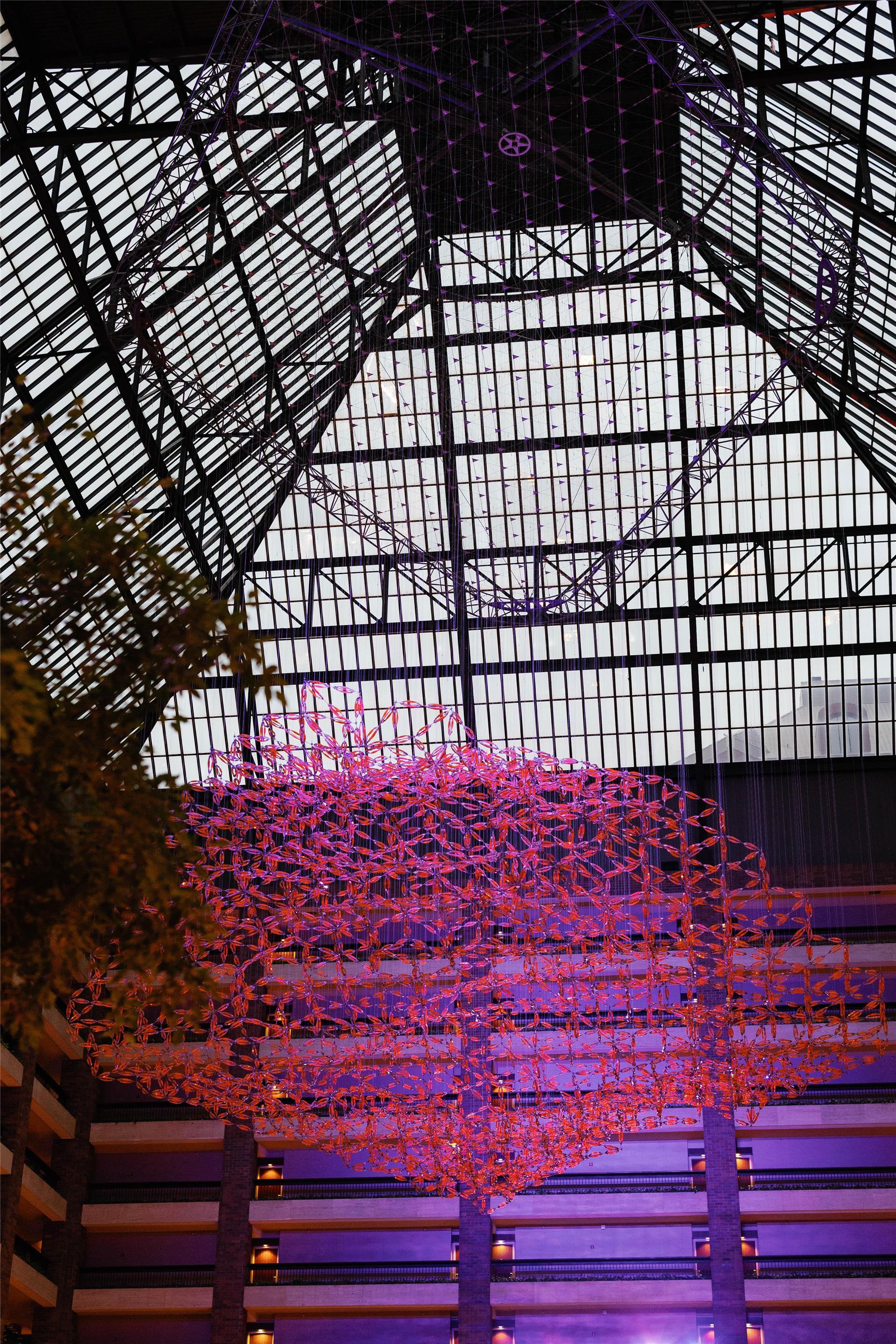 Miscellaneous | Hilton Anatole