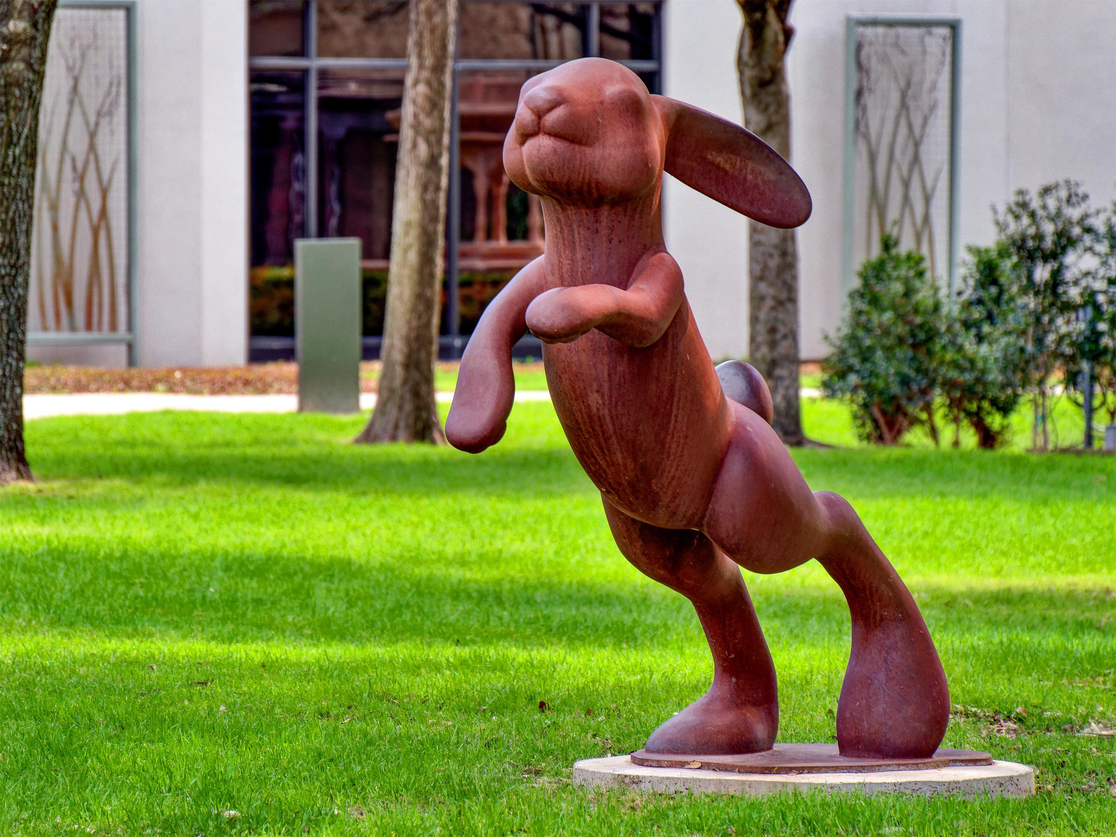 Recreational Facility | Hilton Anatole