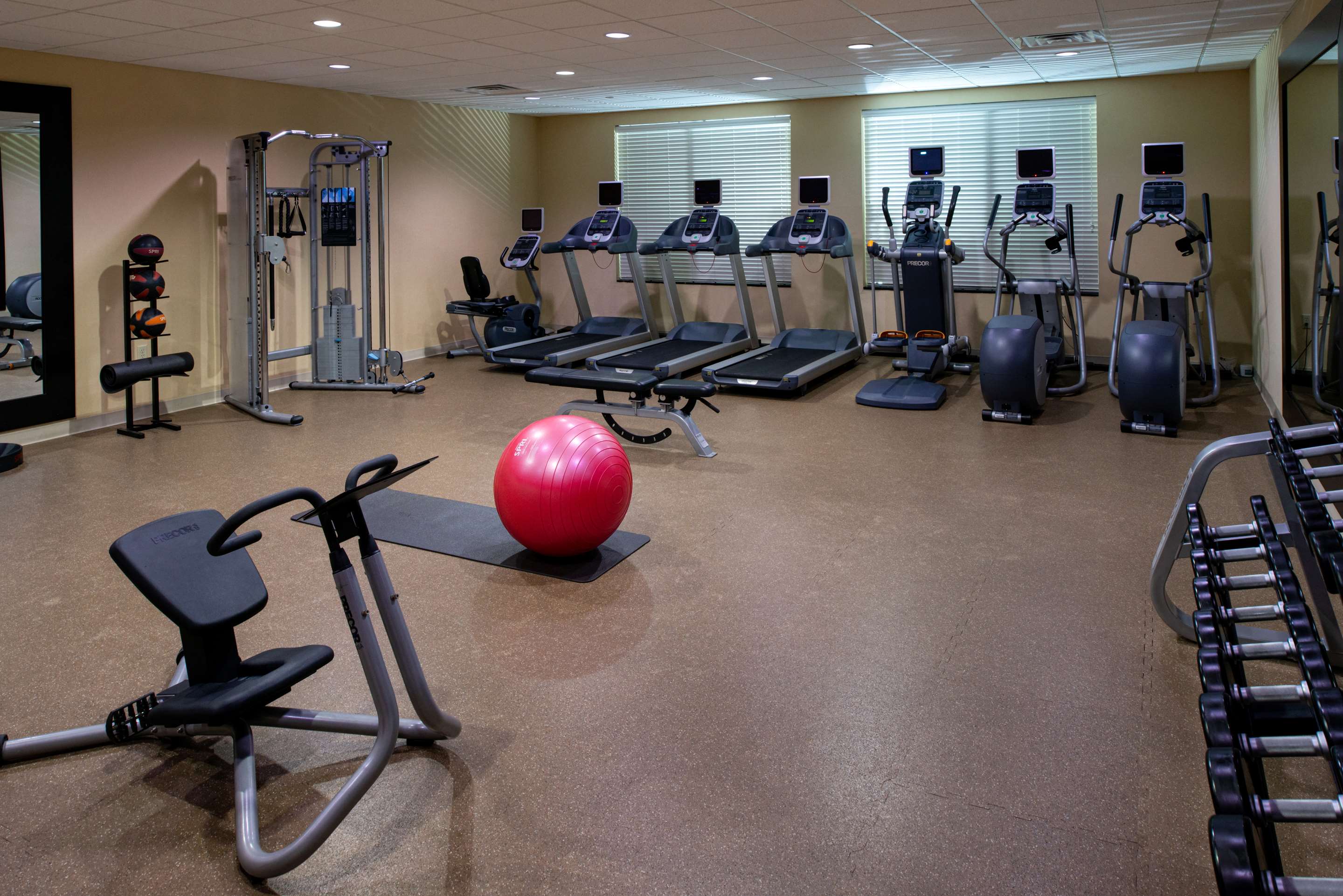 Health club fitness center gym