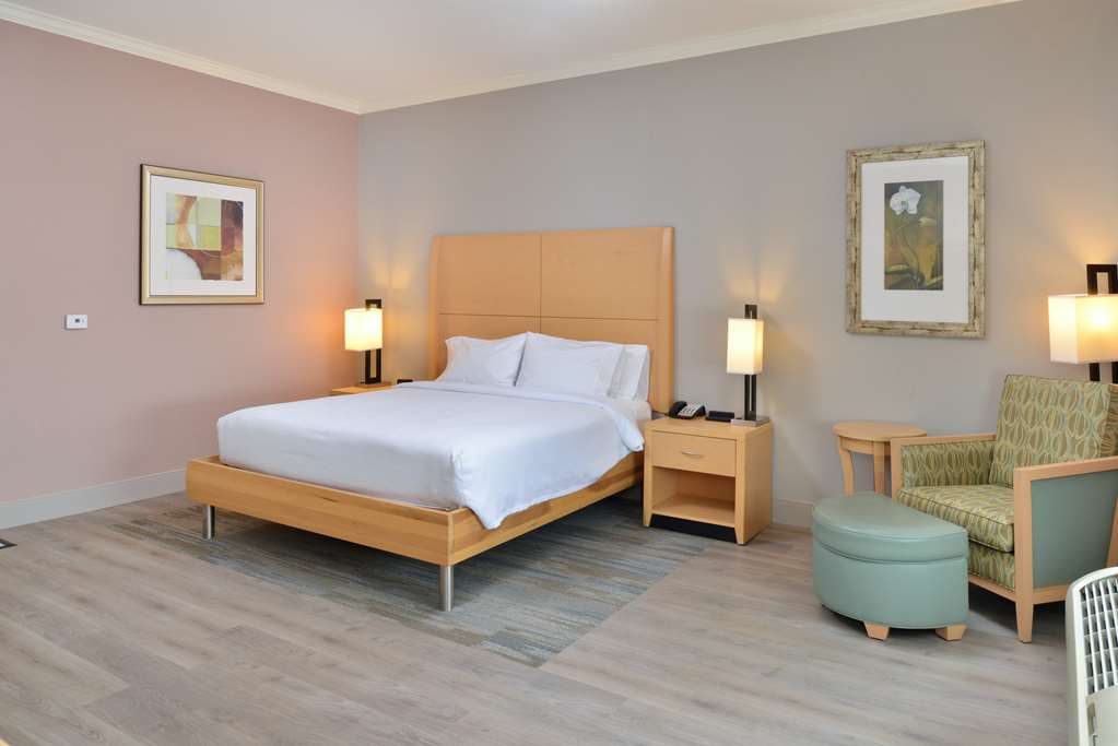 Hilton Garden Inn Denton Room Type - 1KNG MOB HEARNG ACC RI-SHW