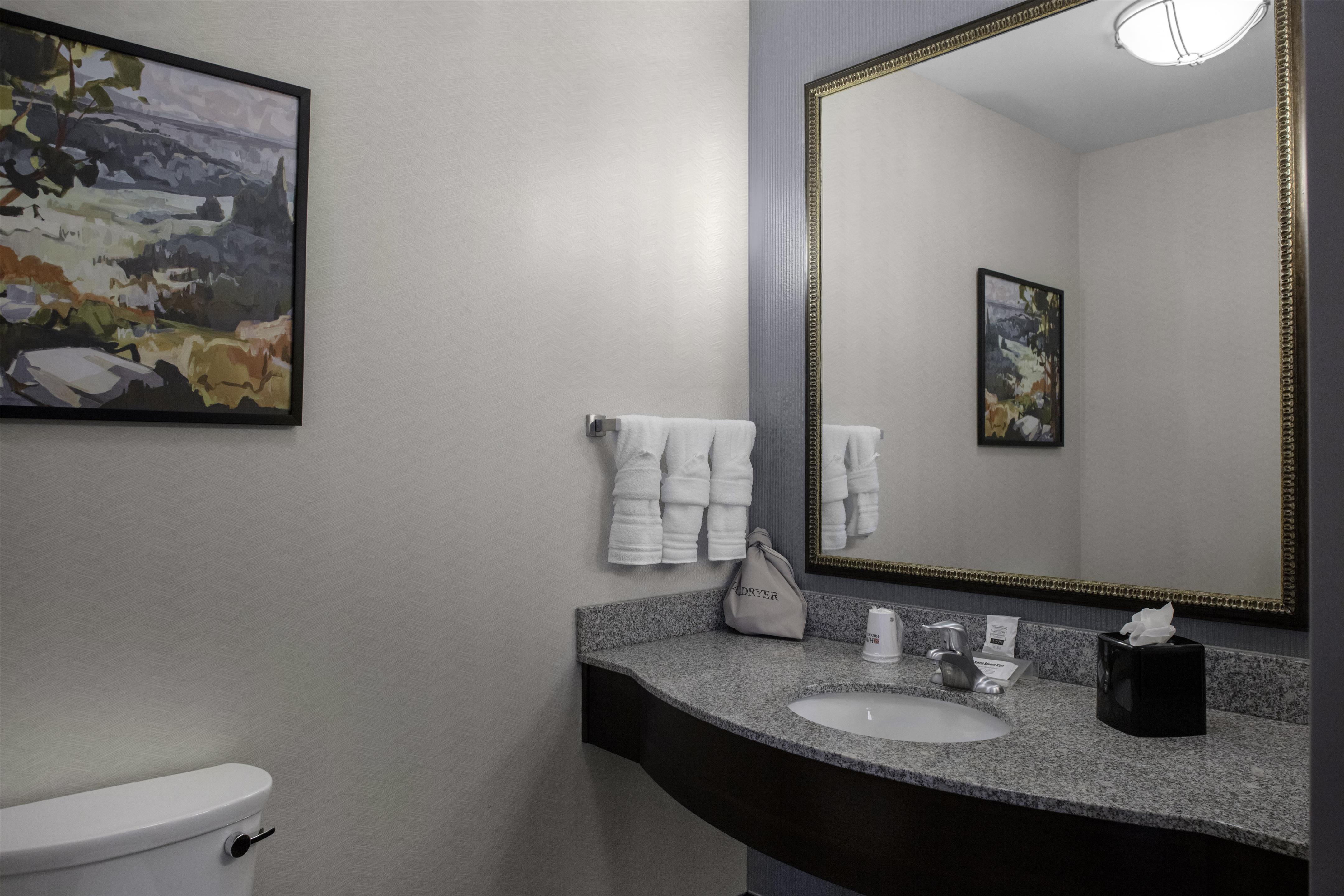 Guest room bath