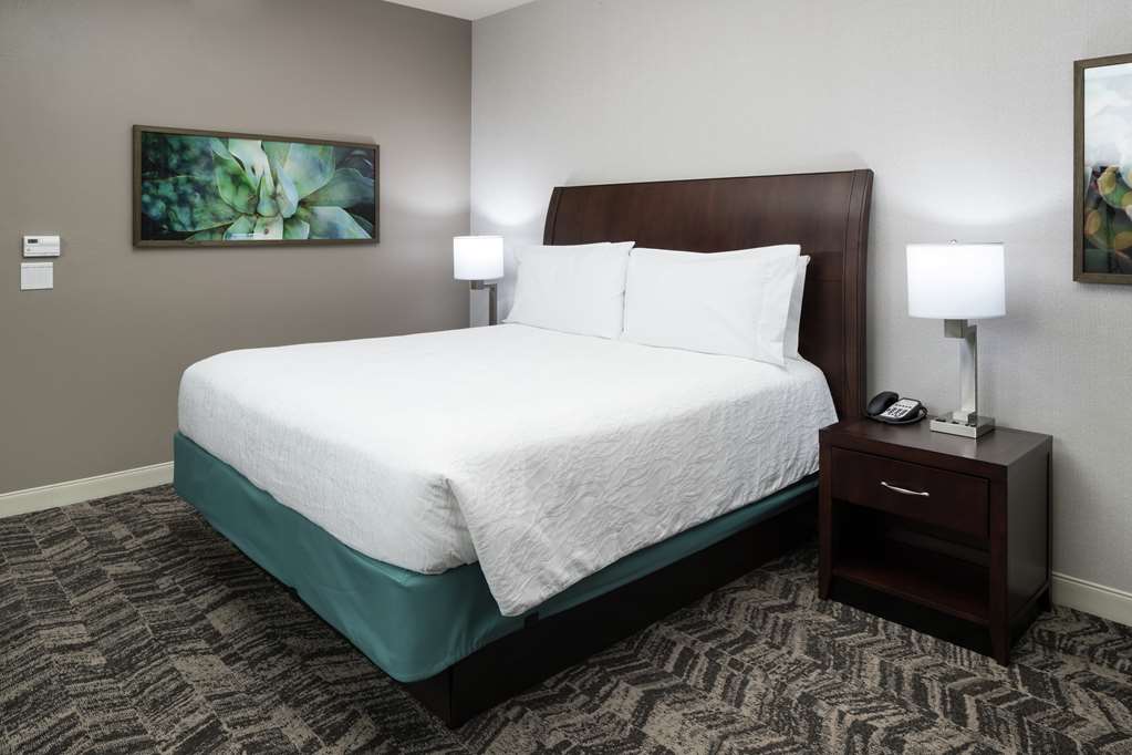 Hilton Garden Inn DFW North Grapevine Room Type - 1 KING ACC RM ROLLIN SHWR