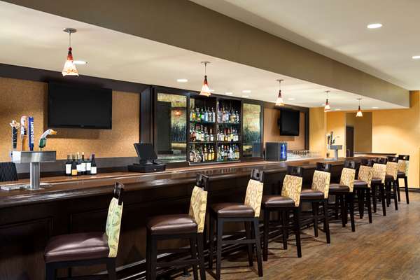 Bar - DoubleTree by Hilton Hotel DFW Airport North Irving