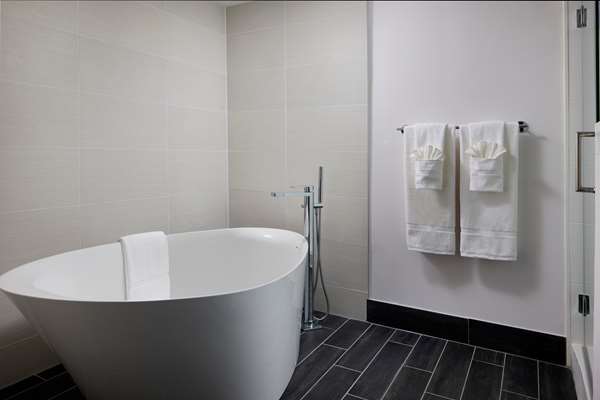  - Hilton Garden Inn Las Colinas Irving