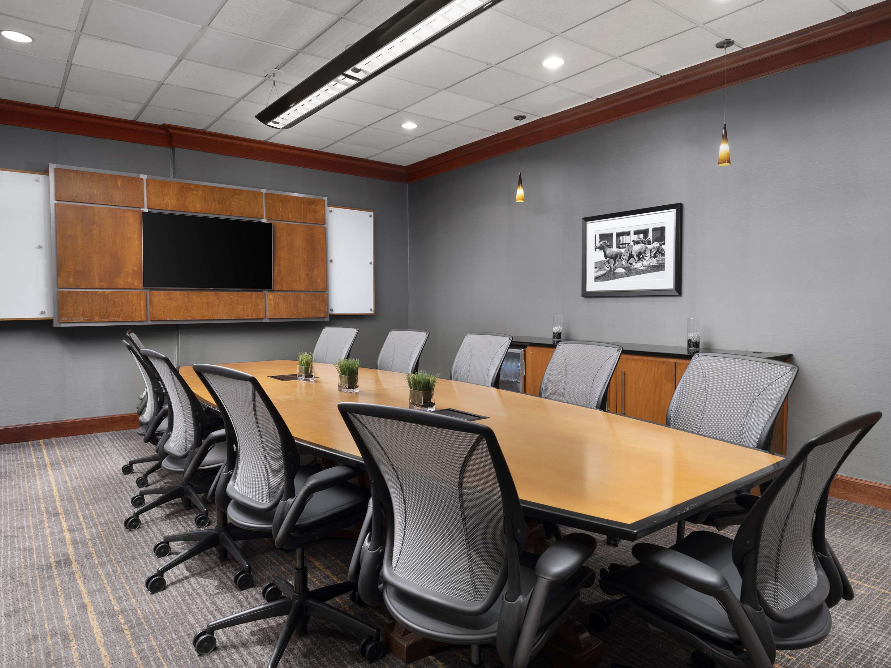 Meeting Room | Hilton Garden Inn Las Colinas