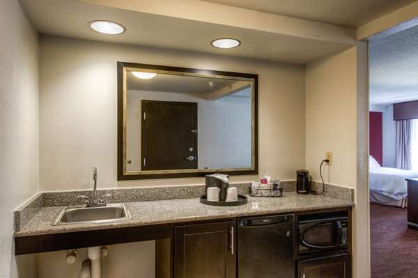  - Hampton Inn & Suites Detroit Airport Romulus