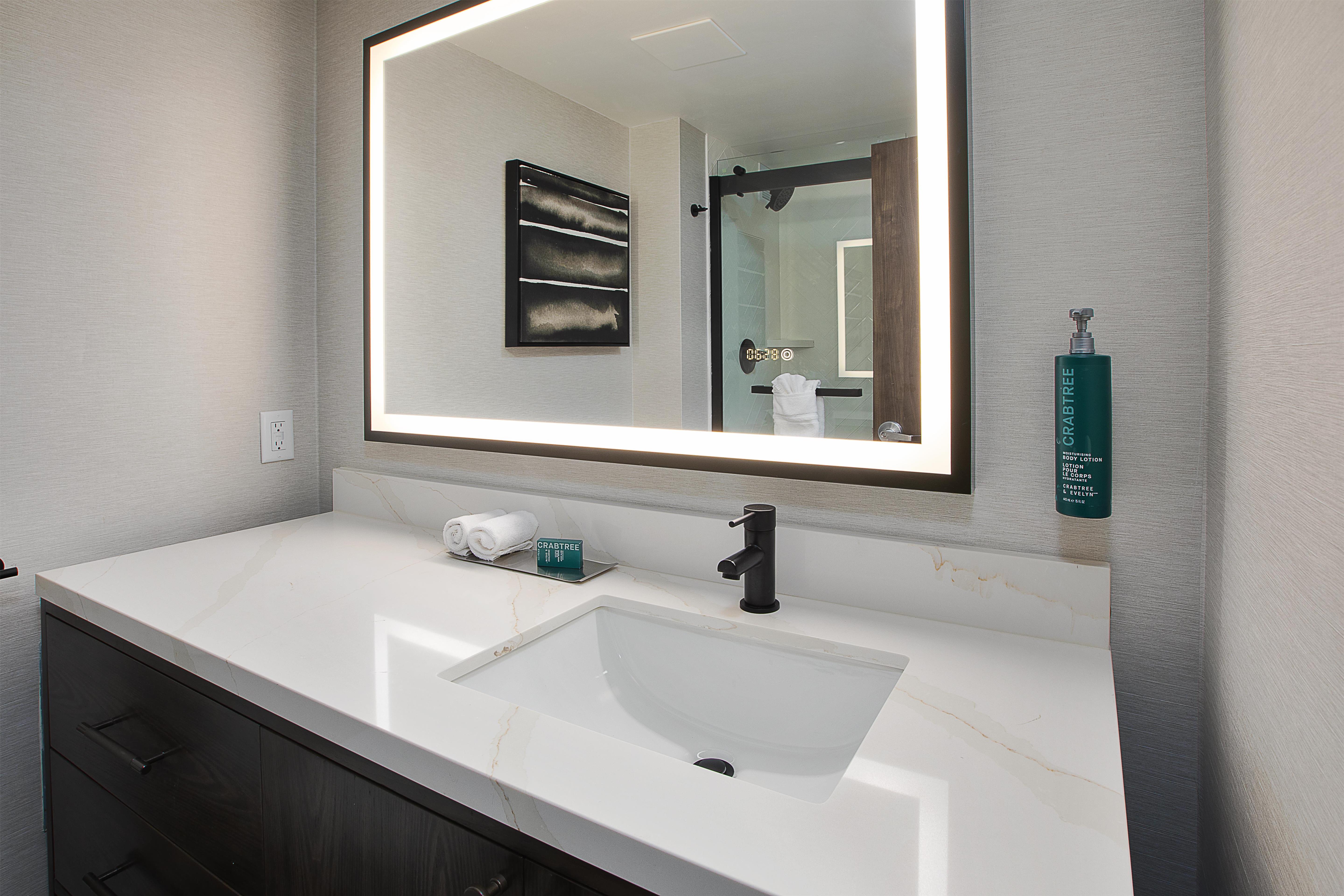 DoubleTree by Hilton Detroit - Novi Room Type - 2 QUEENS W SOFA BED