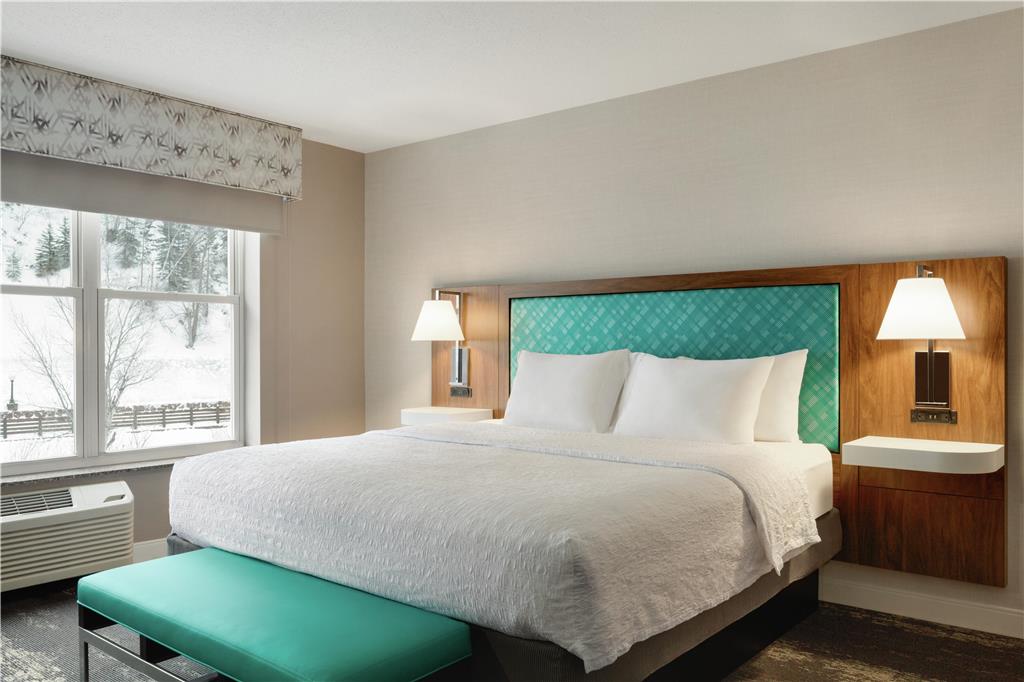 Hampton Inn Deadwood at Tin Lizzie Gaming Resort,-guestroom-Guest Room,On-Site.jpg
