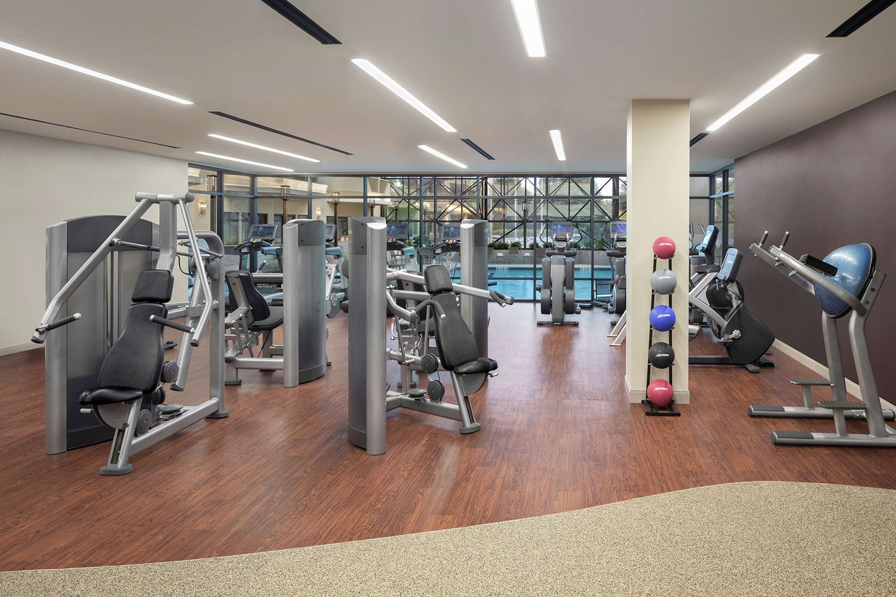 Health club fitness center gym