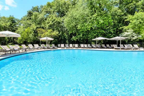 Pool - Hilton Hotel Short Hills