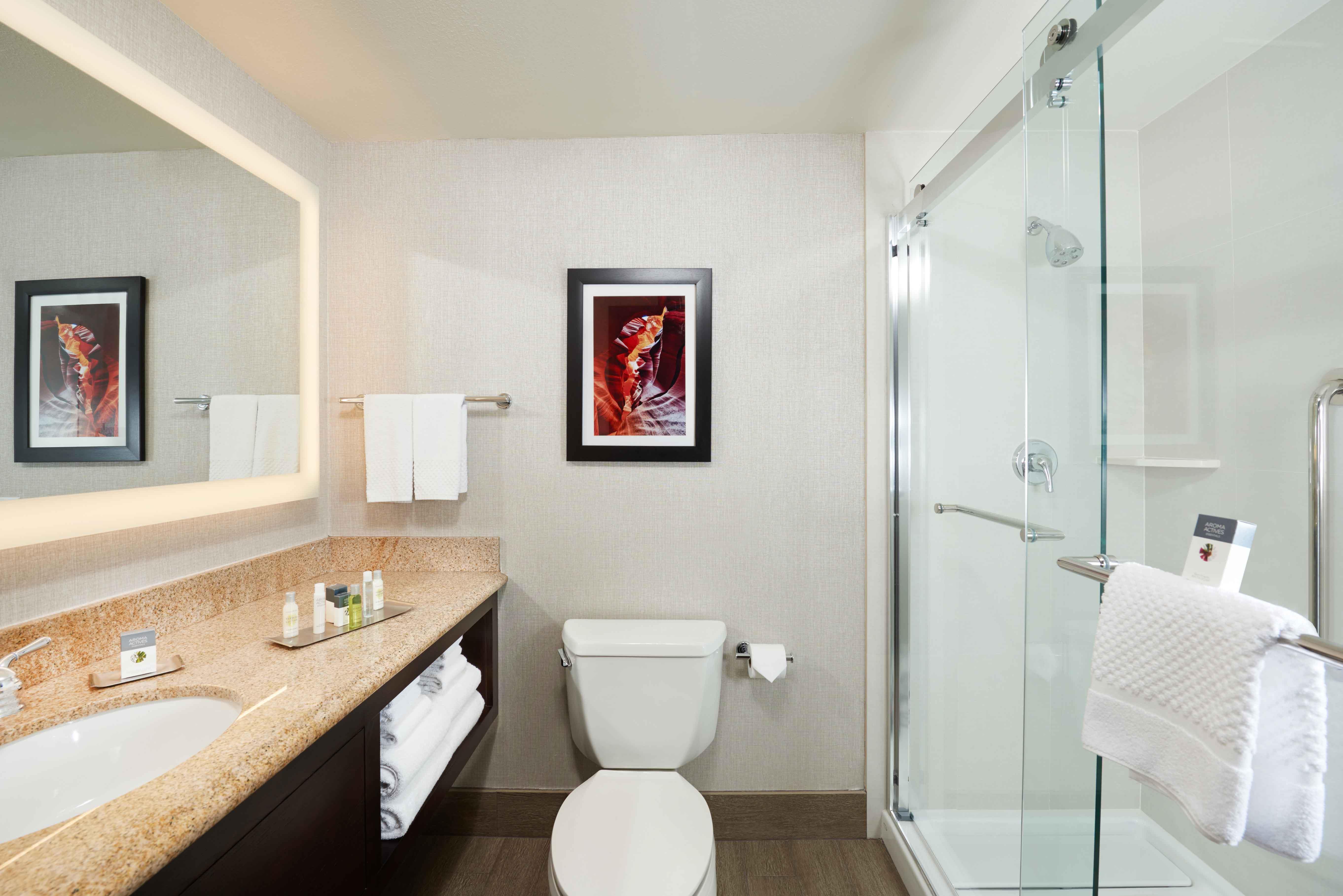 DoubleTree by Hilton Hotel Flagstaff Room Type - 1KNG MOB HEAR ACC W TUB