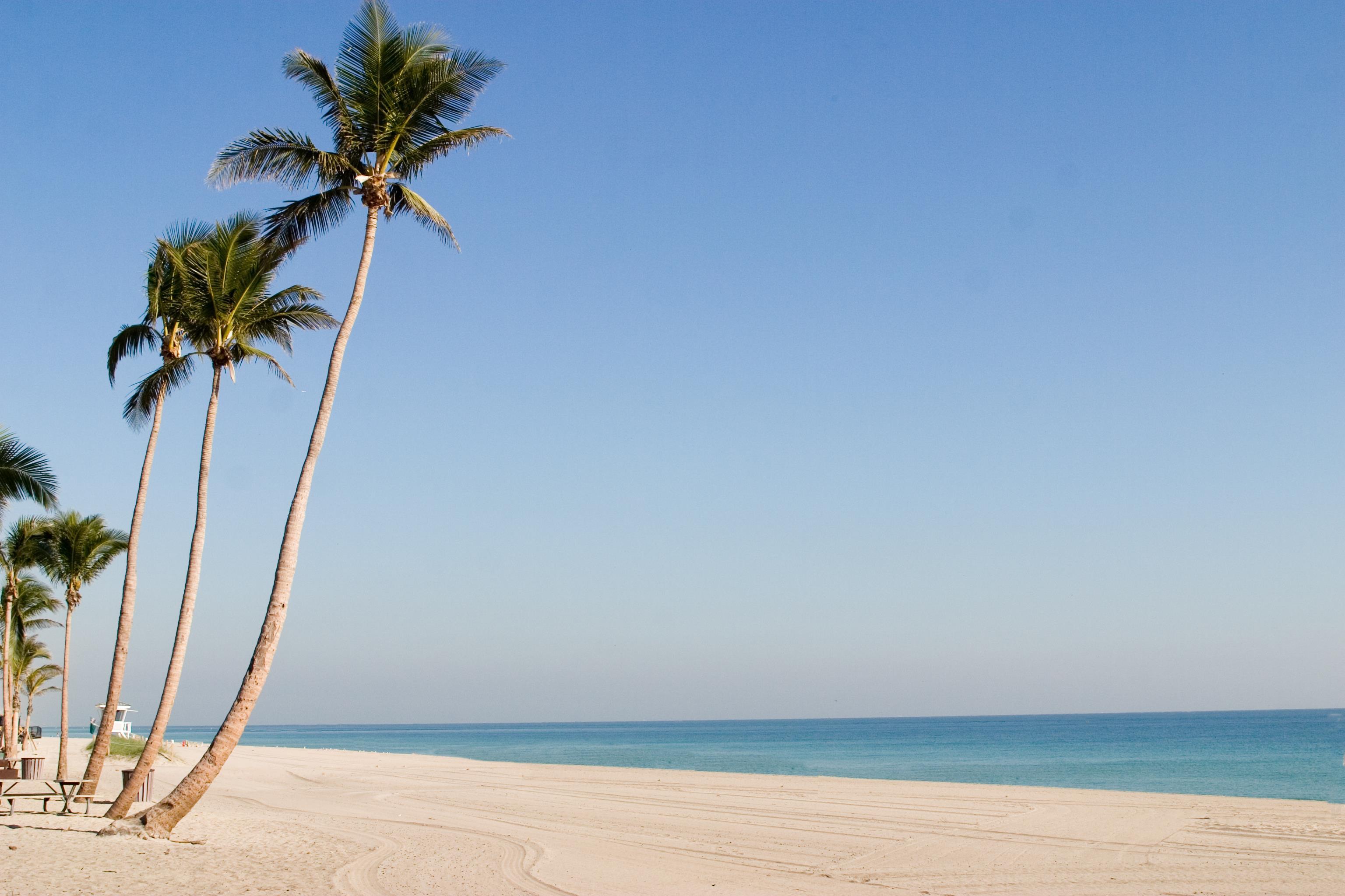 Exterior | Bahia Mar Ft. Lauderdale Beach- a DoubleTree by Hilton Hotel