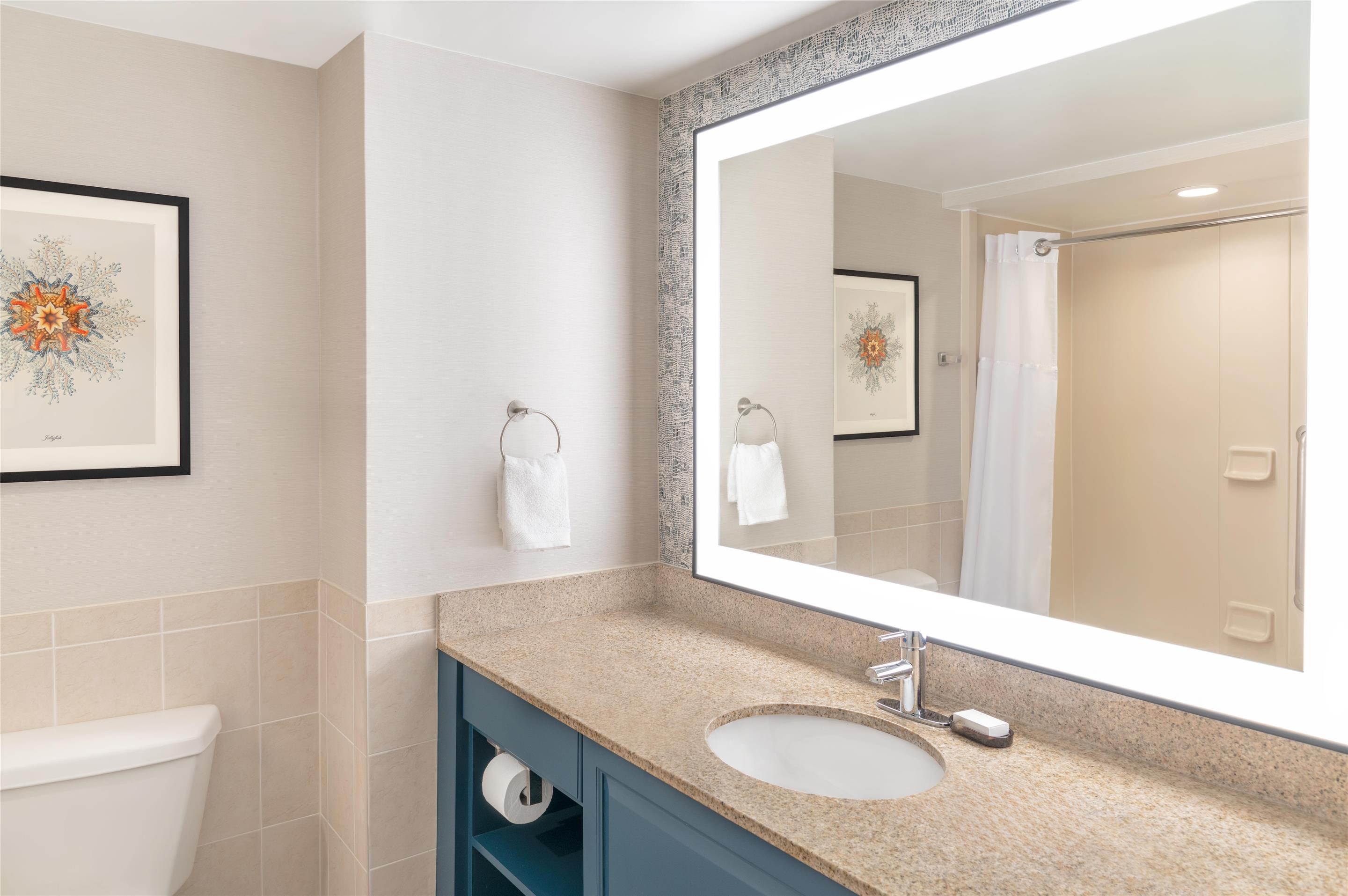 Guest room bath
