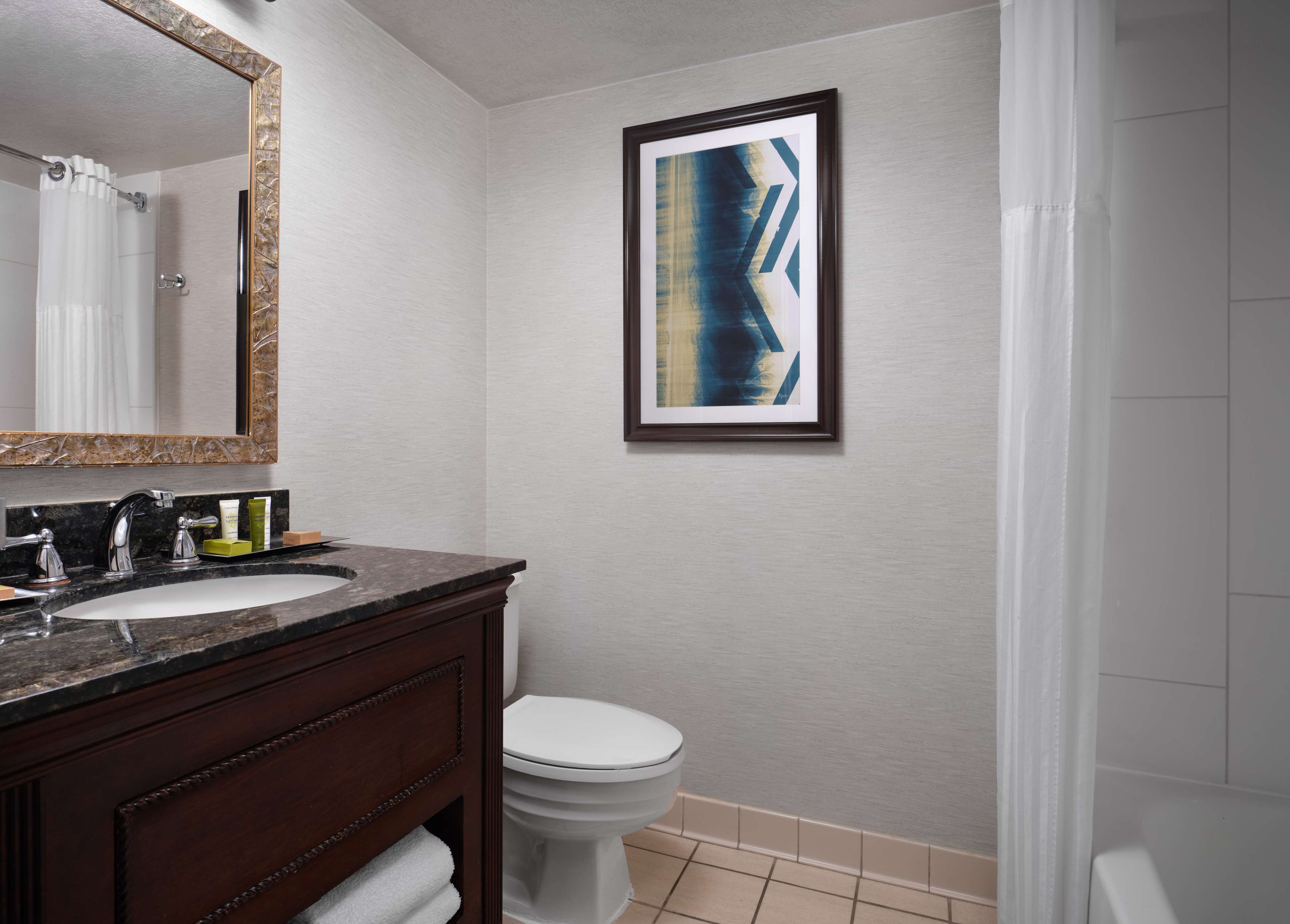 Hilton Fort Collins Room Type - 1 KING BED EXEC FL
