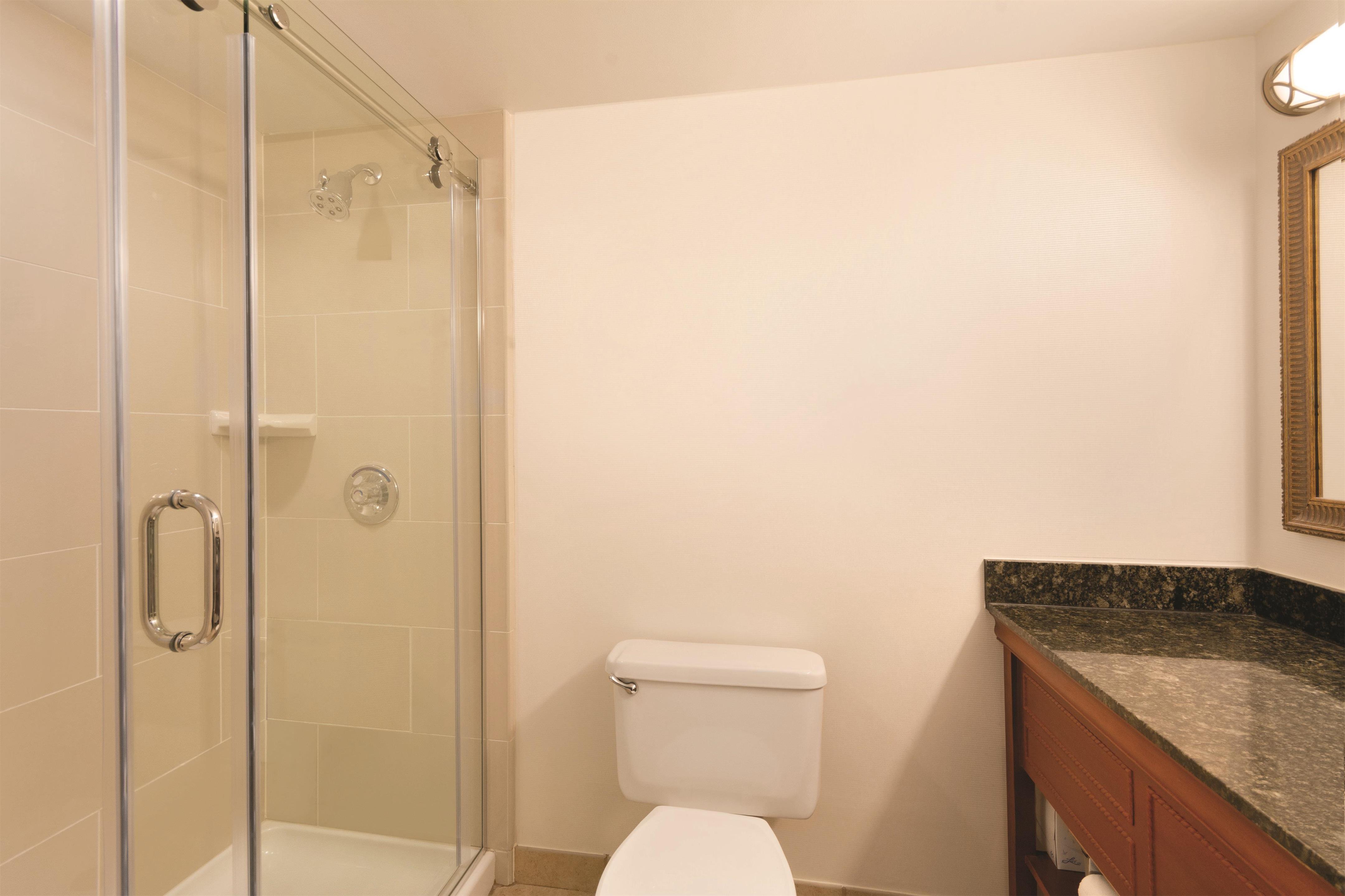 Guest room bath
