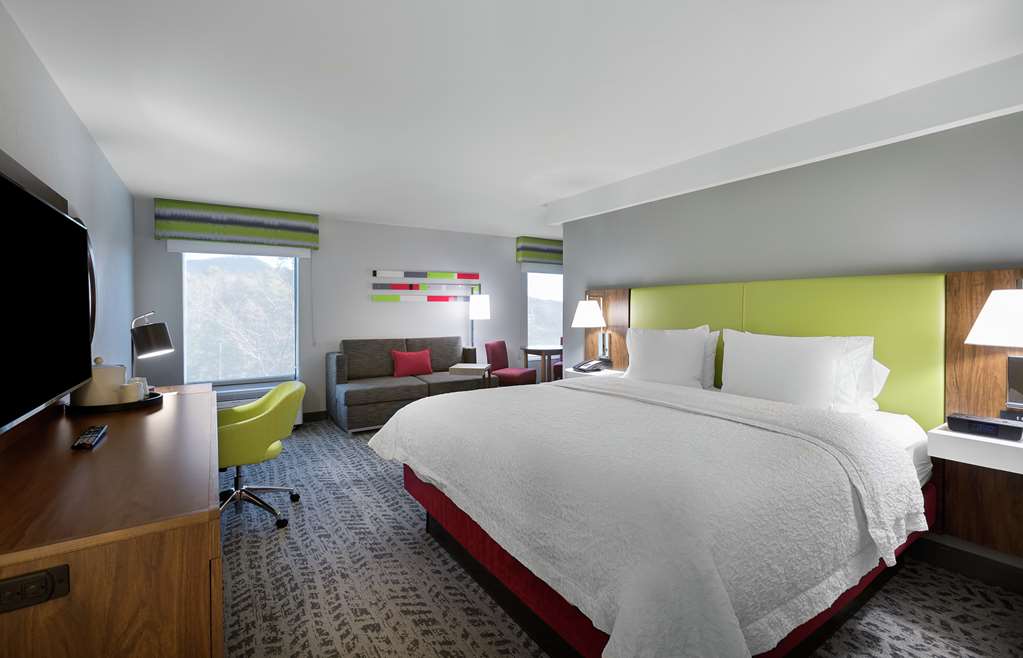 Hampton Inn Greenville/Travelers Rest-guestroom-Guest Room,On-Site.jpg