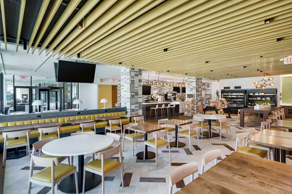 Amenities - Hilton Hotel Hartford - I-84, Exit 49 & 50