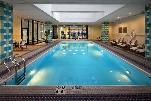 Pool - Hilton Hotel Hartford - I-84, Exit 49 & 50