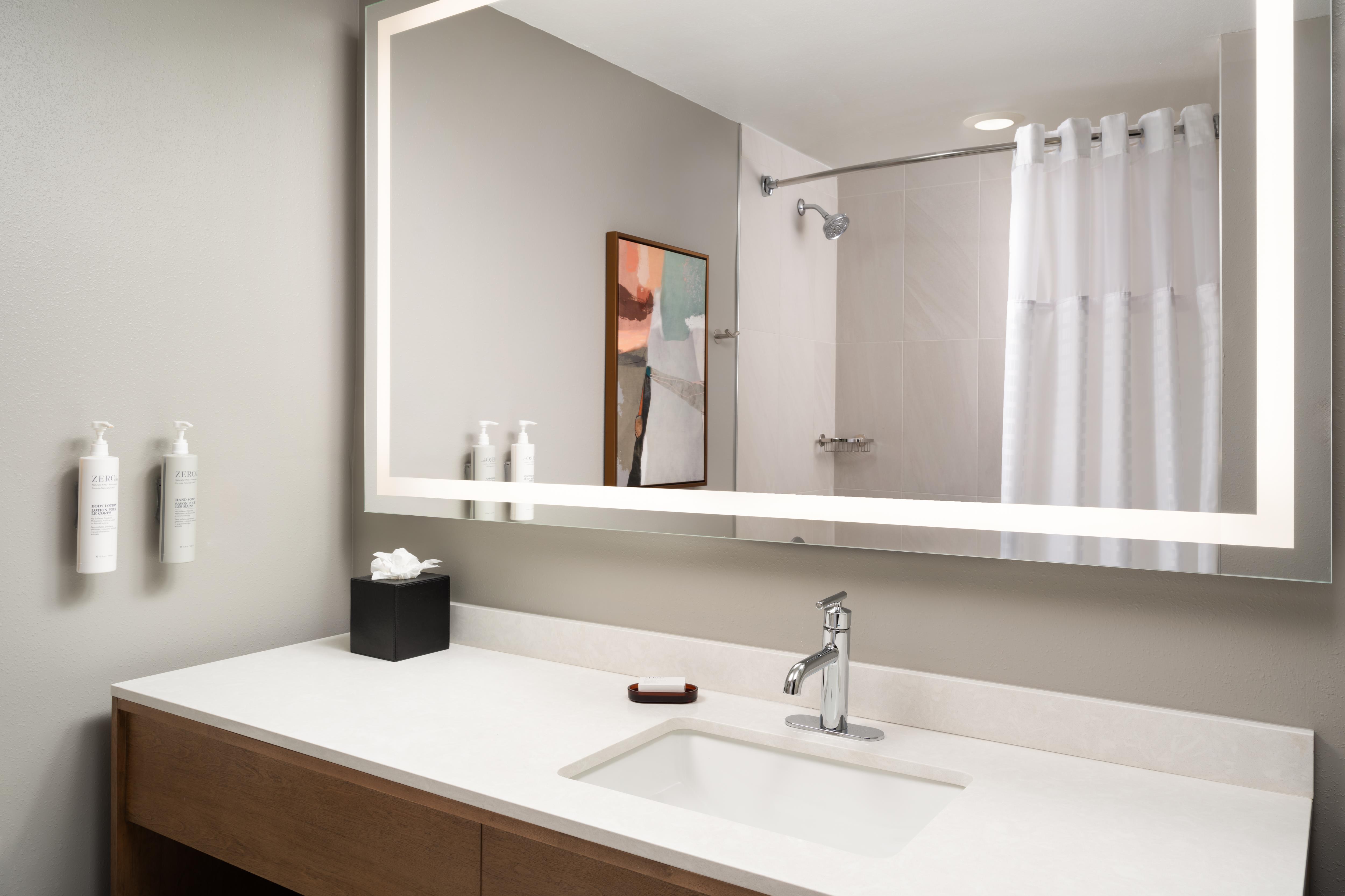 Embassy Suites Hot Springs - Hotel & Spa Room Type - 1 KING STE MOB HR ACC TUB