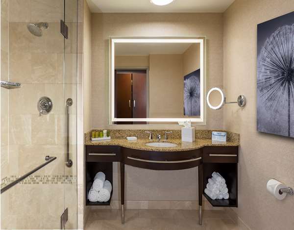  - Hilton Hotel Americas Houston - I-69, Exits 130 & 131