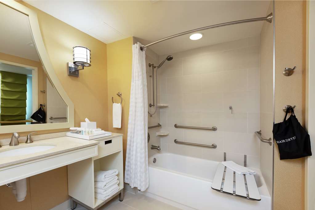 Embassy Suites Houston Downtown Room Type - 1KG STE MOB HR ACC TUB NS