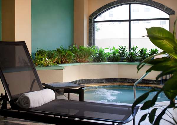 Pool - Embassy Suites Galleria Houston