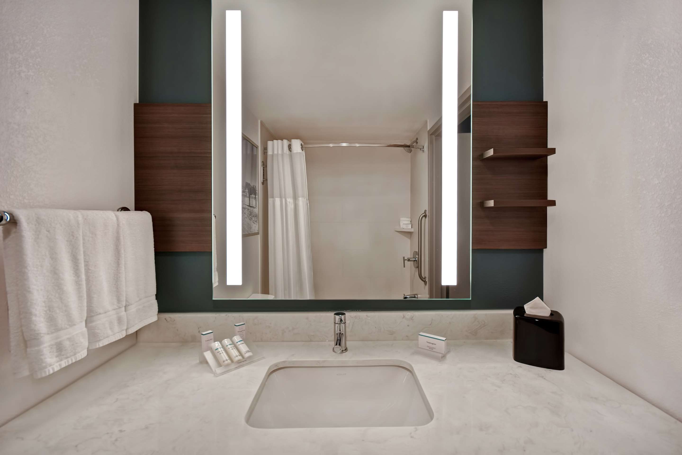 Guest room bath