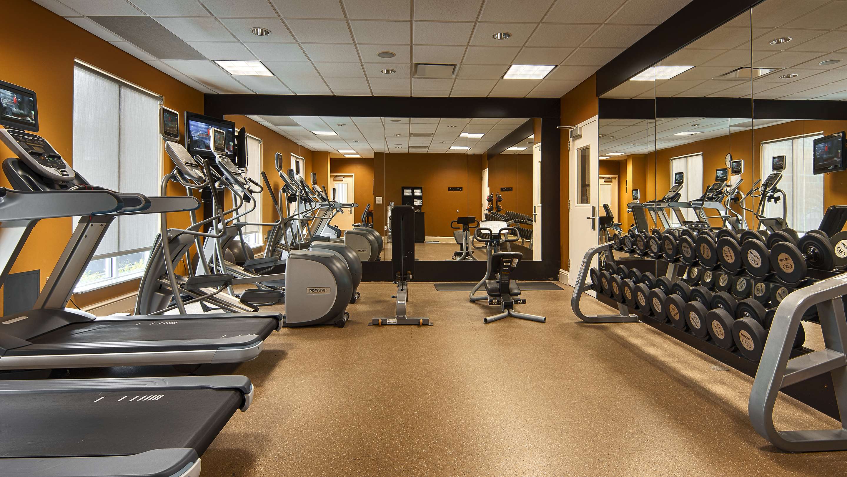 Health club fitness center gym