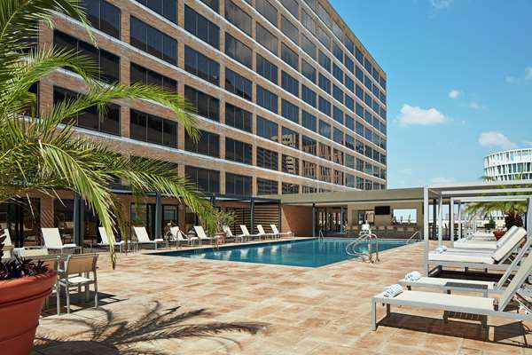 Pool - Hilton Plaza Hotel Texas Medical Center Houston