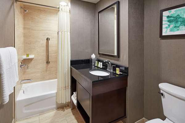  - Hilton Plaza Hotel Texas Medical Center Houston