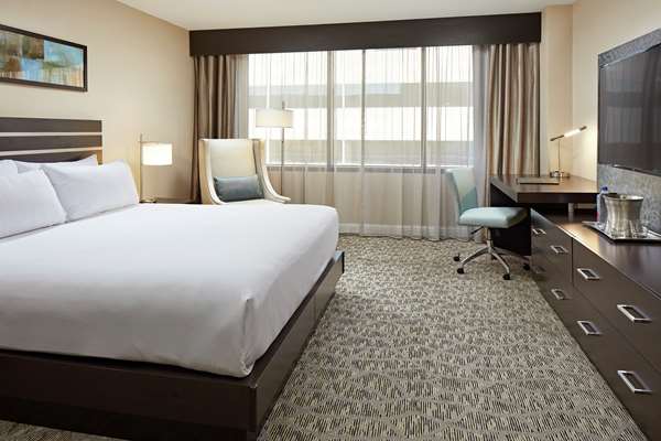  - Hilton Plaza Hotel Texas Medical Center Houston