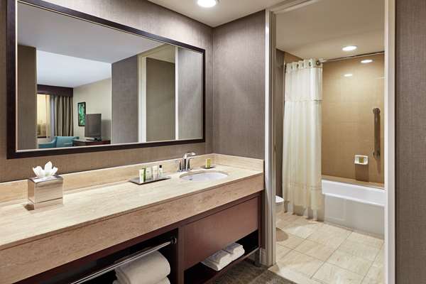  - Hilton Plaza Hotel Texas Medical Center Houston