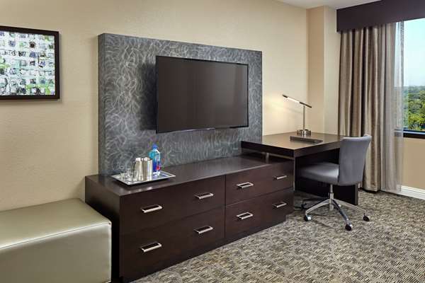  - Hilton Plaza Hotel Texas Medical Center Houston