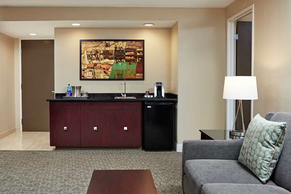  - Hilton Plaza Hotel Texas Medical Center Houston
