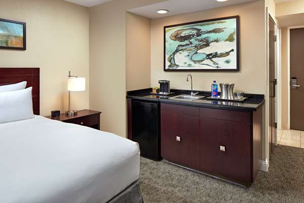  - Hilton Plaza Hotel Texas Medical Center Houston