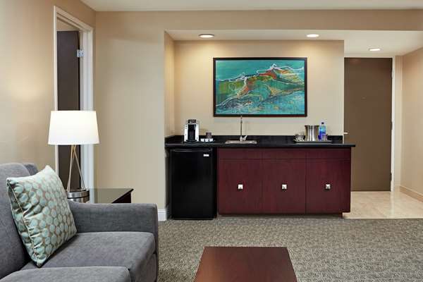  - Hilton Plaza Hotel Texas Medical Center Houston