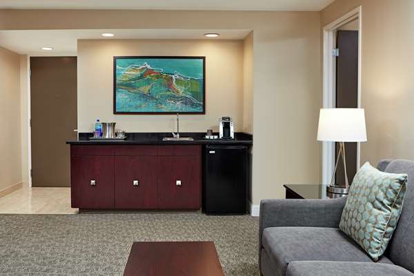  - Hilton Plaza Hotel Texas Medical Center Houston