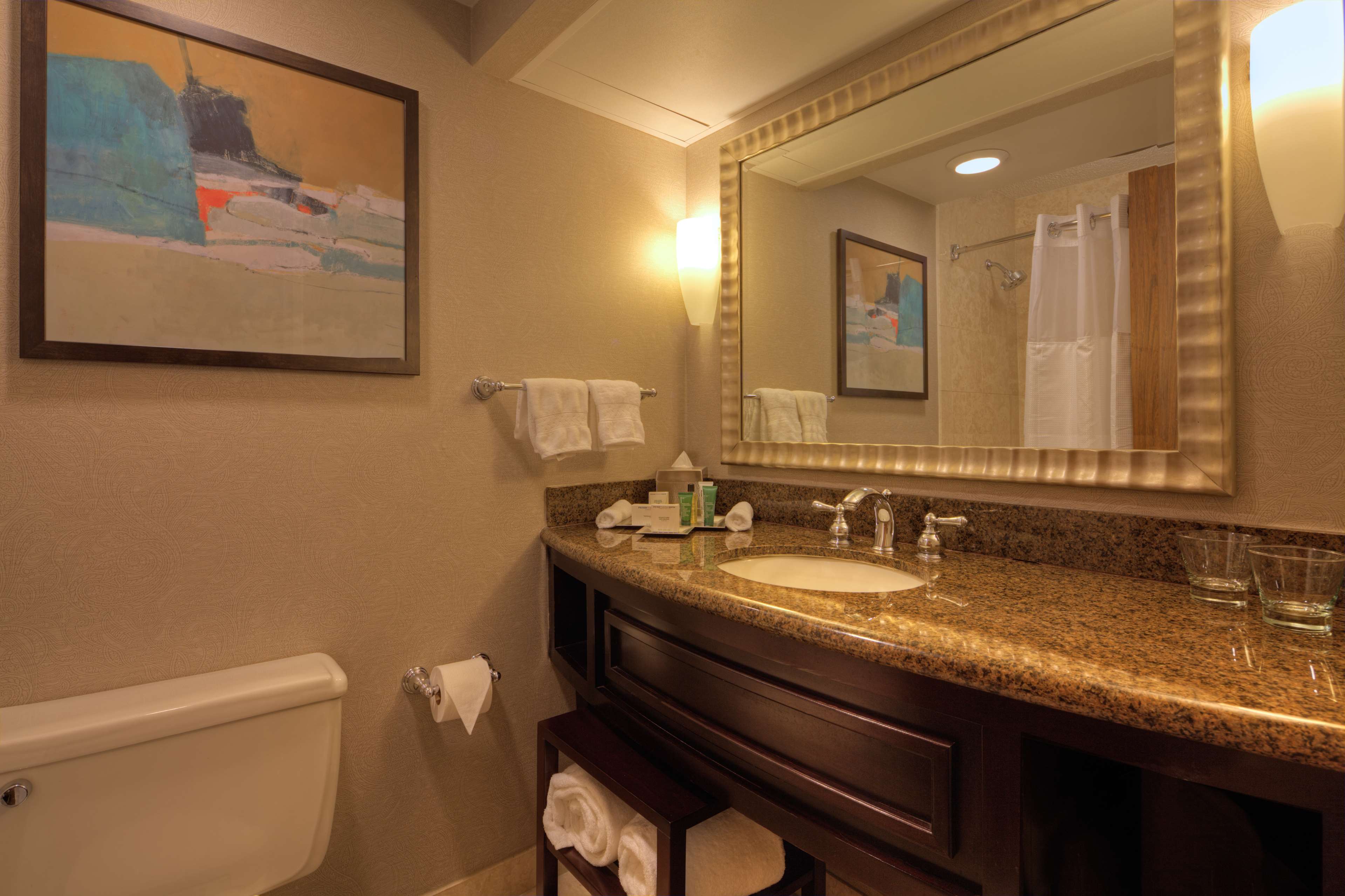 Hilton Houston Westchase Room Type - 1KNG MOB HEARING ACC W TUB