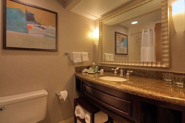  - Hilton Hotel Westchase & Towers Houston