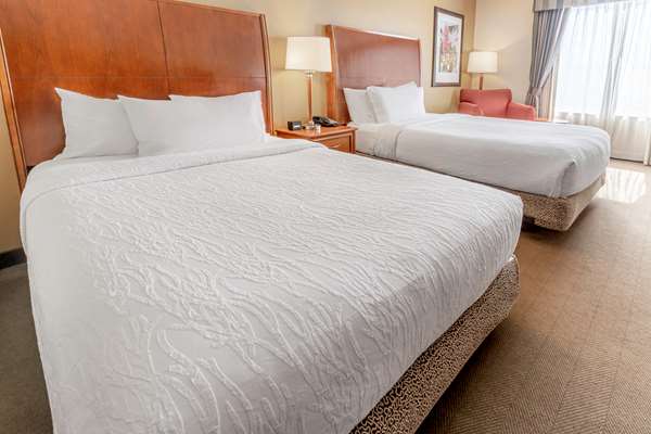  - Hilton Garden Inn The Woodlands