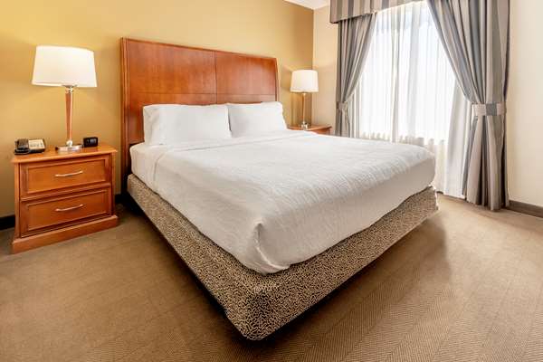  - Hilton Garden Inn The Woodlands