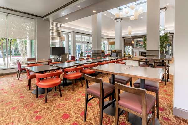  - Hilton Garden Inn The Woodlands