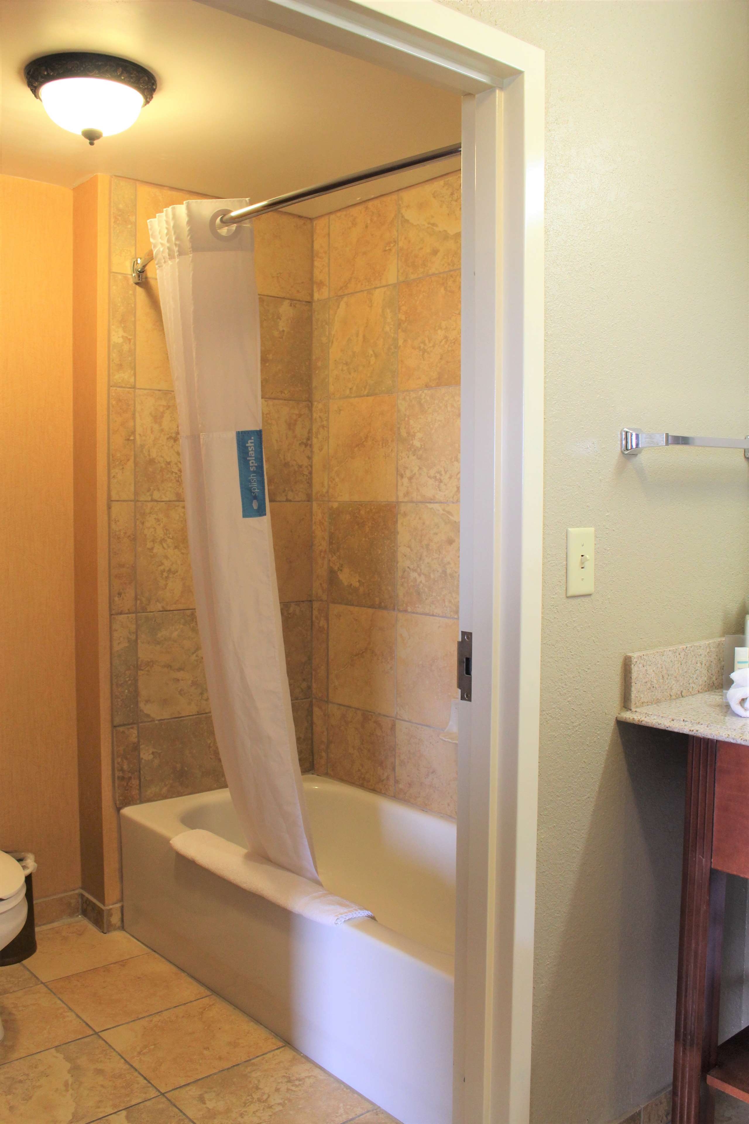 Hampton Inn & Suites by Hilton Thibodaux Room Type - 1KNG STUDIO SOFABED NOSMOK