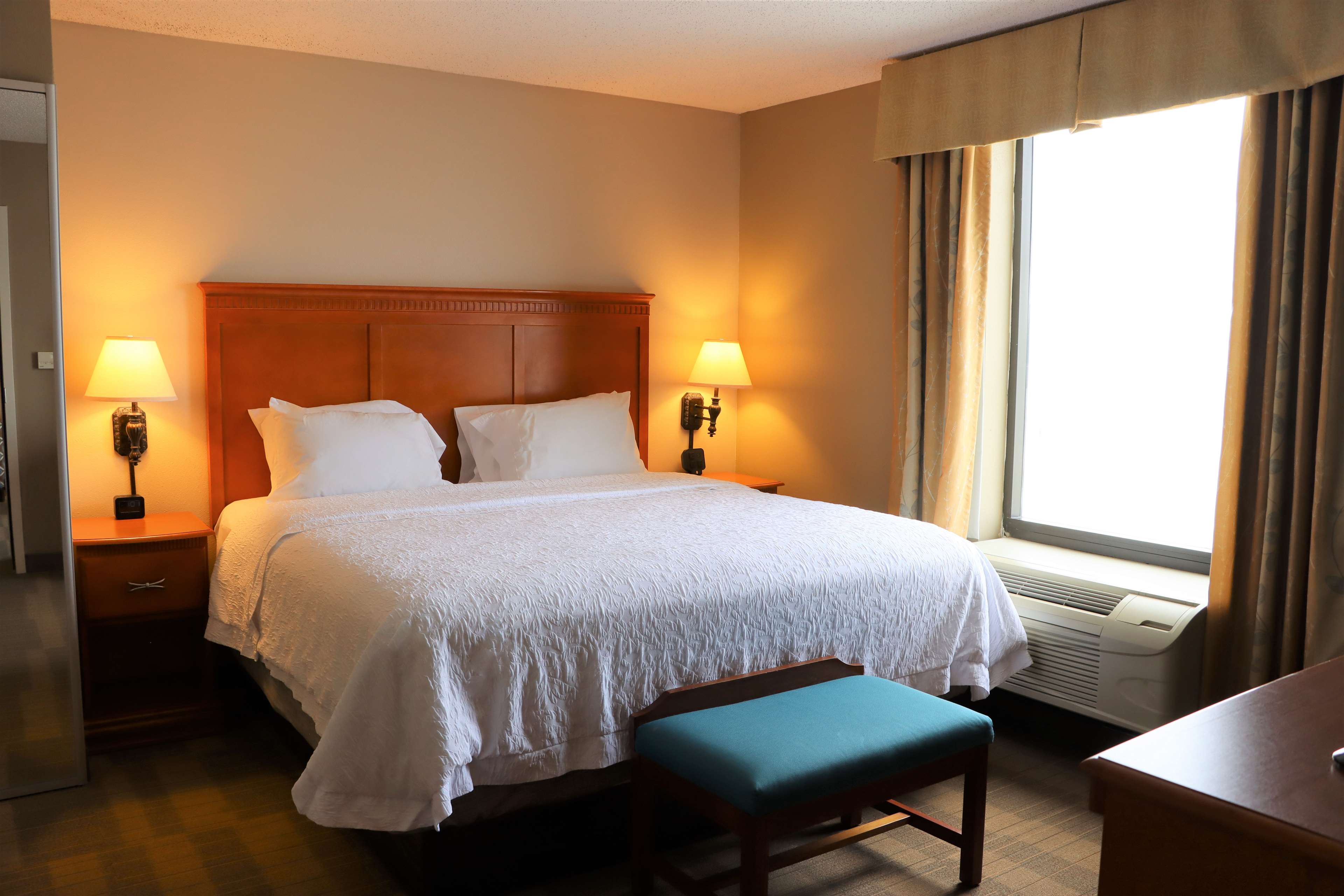 Hampton Inn & Suites by Hilton Thibodaux Room Type - 1KNG STE WHIRLPOOL NONSMOK